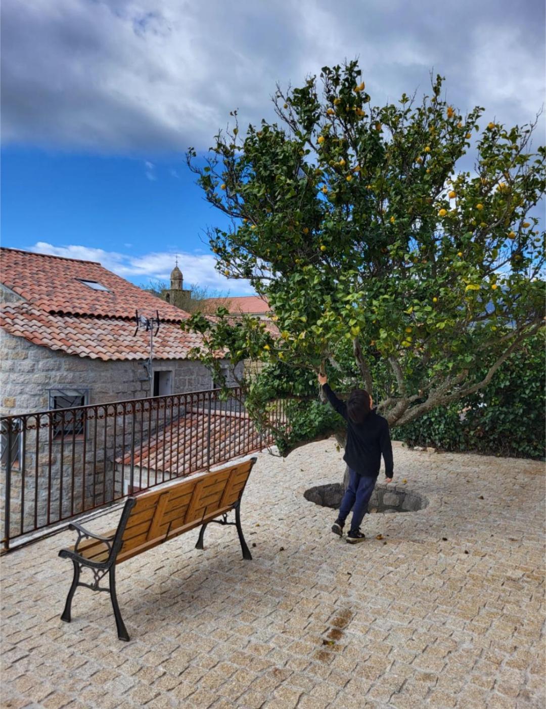 Villa Individuelle U Limonu, Vue Valinco, Viggianello